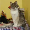 Отзыв от Вероника Барсукова